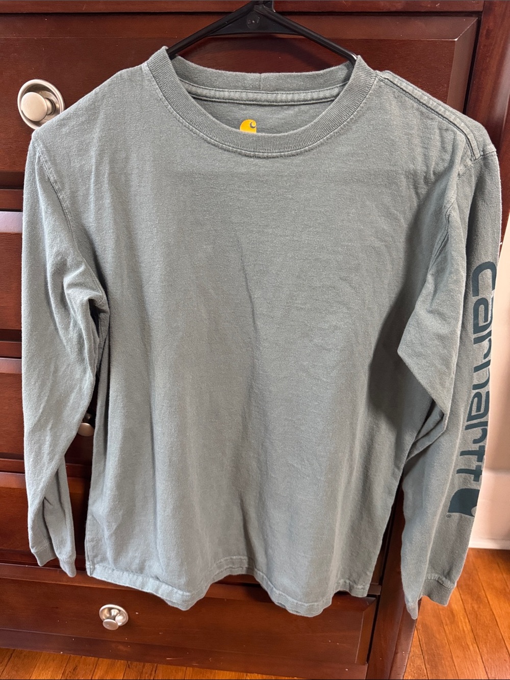 Carhartt Long Sleeve Tee in Dusty Sage